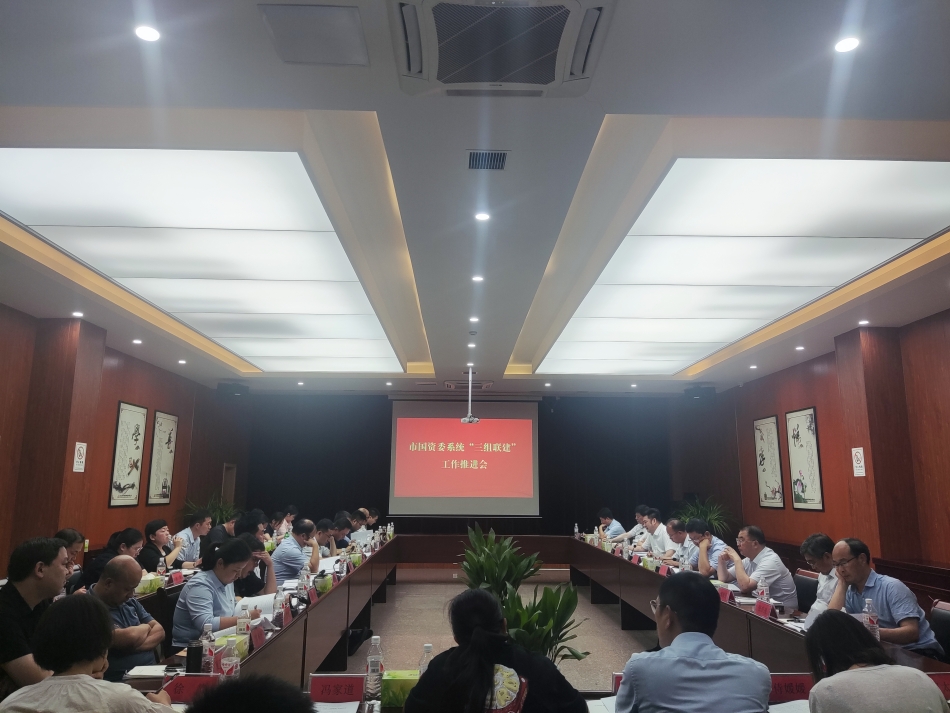 2024年7月17日，市國資委系統(tǒng)在公司開展“三組聯(lián)建”現(xiàn)場觀摩（推進(jìn)會(huì)）_副本